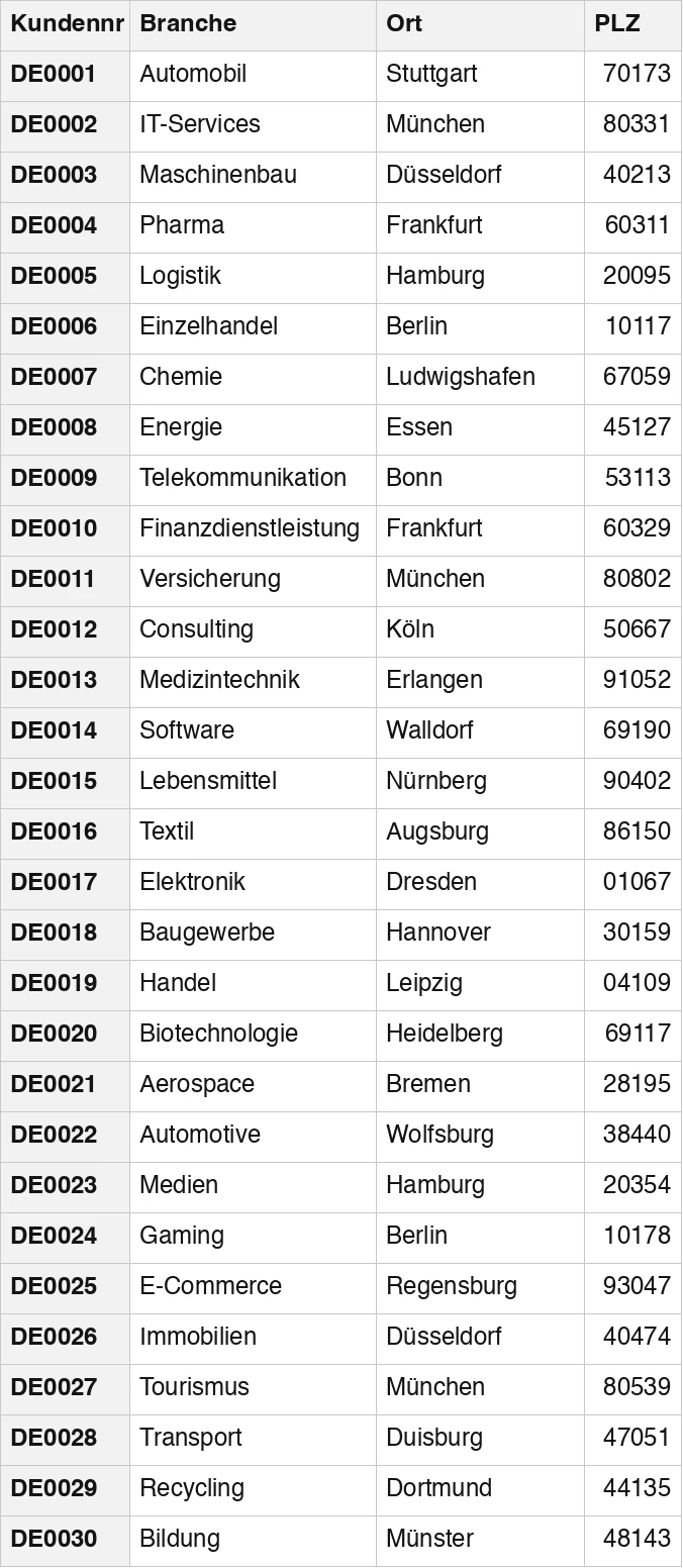 Tabelle mit 30 Kunden, je mit Kundennummer, Branche, Ort und Postleitzahl